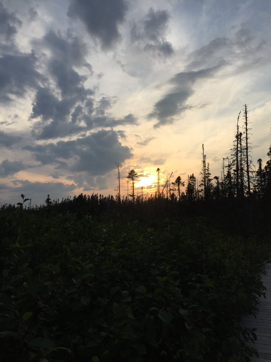 DownLongShore's tweet photo. Sunset Cobbs Pond boardwalk. https://t.co/jnrV3kohQ4