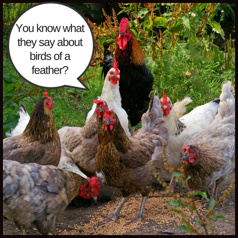 SFChickenCHS's tweet image. Come flock together on September 8th at River Front Park for family fun and fried chicken! 
.
Get your tickets at southernfriedchickenchallenge.com 
.
#sfcc #charleston #friedchicken #southern #familyfun #dogfriendly #livemusic #goodfood #football