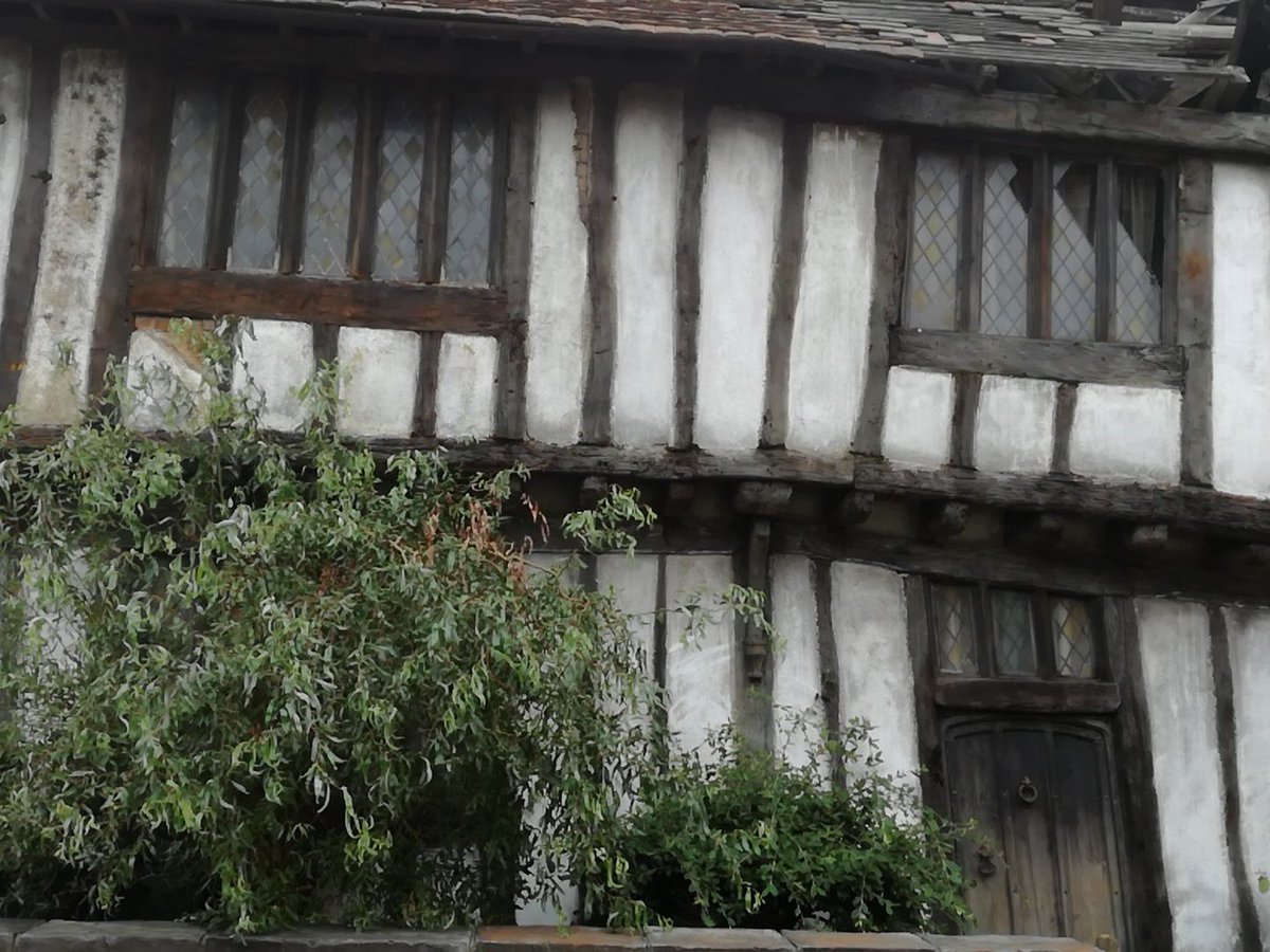 Warwick House kids (@warwick_kids) on Twitter photo 