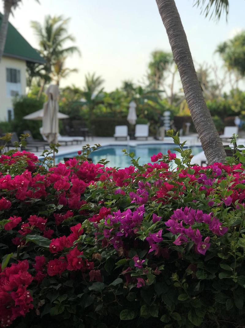 J_Kule's tweet photo. My friend Lara is a finalist in the Ports of Call Resort photo contest! Help rally votes: https://t.co/OrhCCwYi0I @portsofcall1 https://t.co/F6XgR1S8NR