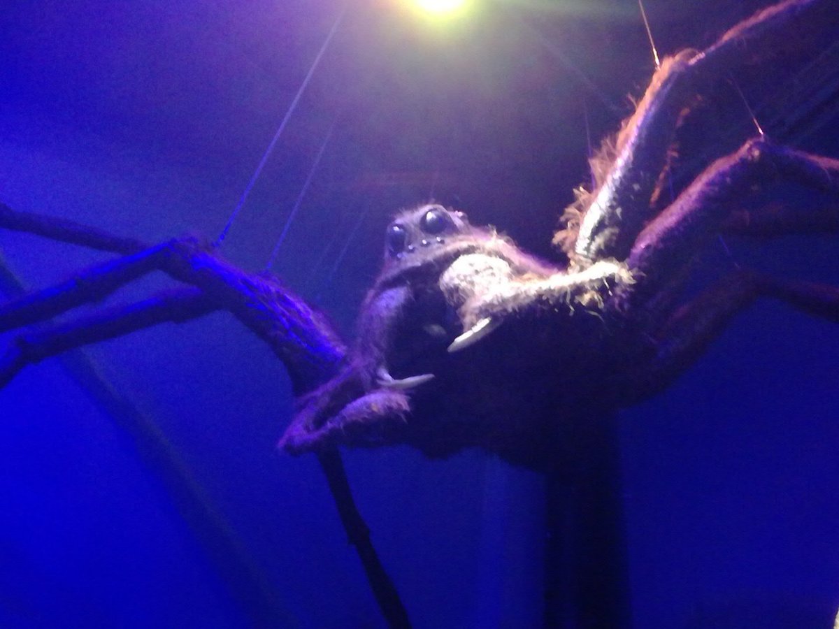 Warwick House kids (@warwick_kids) on Twitter photo 