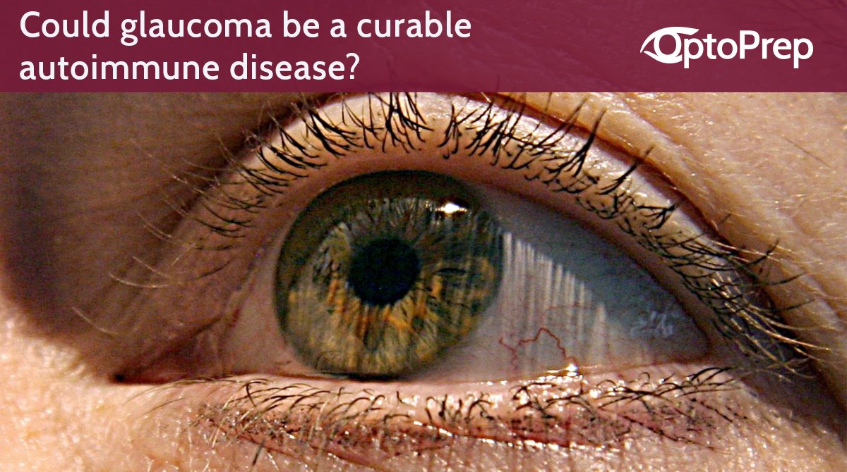 OptoPrep's tweet photo. Could glaucoma be a curable autoimmune disease? https://t.co/82dyzAVnOq #OptoPrep #Optometry https://t.co/YHvaz8BZkZ
