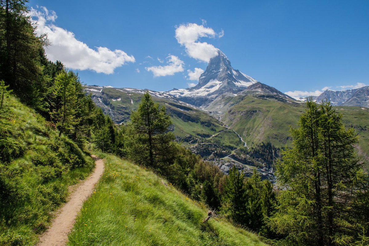 summitskischool's tweet photo. The trails around Zermatt, over 400km of stunning hiking in alpine terrain. If you have never been here in the ...
#alpsinsummer #destination #bucketlist @zermatt_tourism #hiking #trails #mountains #mtterhorn #alps #clouds #nature #neverstopexploring #summer #summerinthemountains https://t.co/gUMBjtRvcu