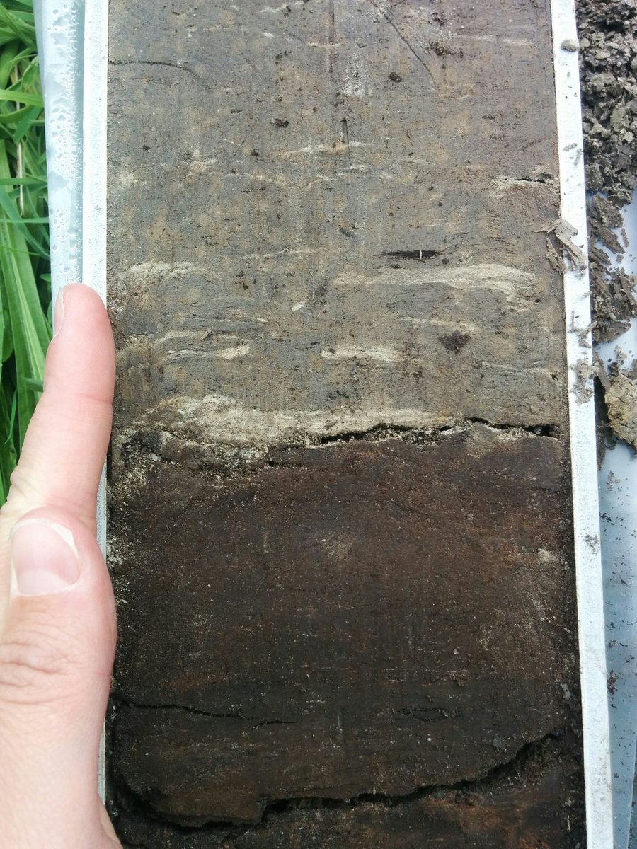 SeftonGeo's tweet photo. Early Holocene sea-level rise in the Netherlands delta: terrestrial changing to marine sediments #iSLR18 https://t.co/mzubOxn1kY