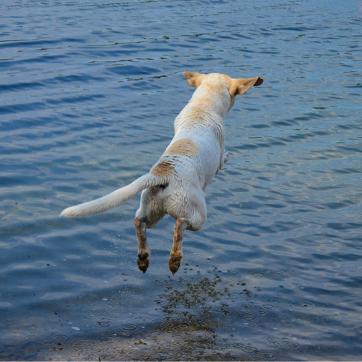 Nicolet Water tweet media