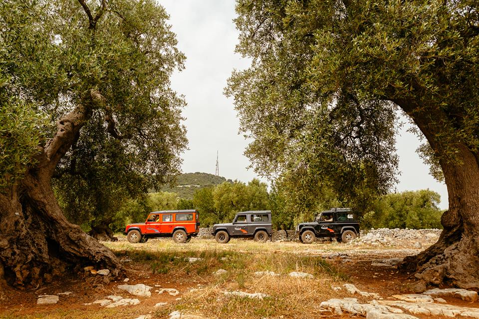 La fine dell'estate è uno dei momenti migliori per viaggiare in #Puglia. Con le temperature miti e le città meno affollate, ci sono tante destinazioni che aspettano solo di essere visitate ✈️
goo.gl/NYFfRW