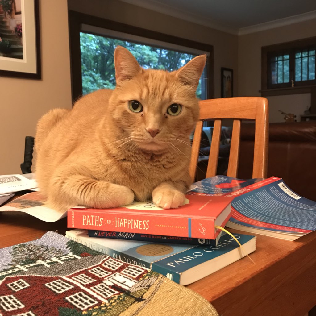 kt_muse's tweet photo. @davidhogg111 Felix knows he had to read #NeverAgain before Paths to Happiness. https://t.co/E3QQ9HTDsK
