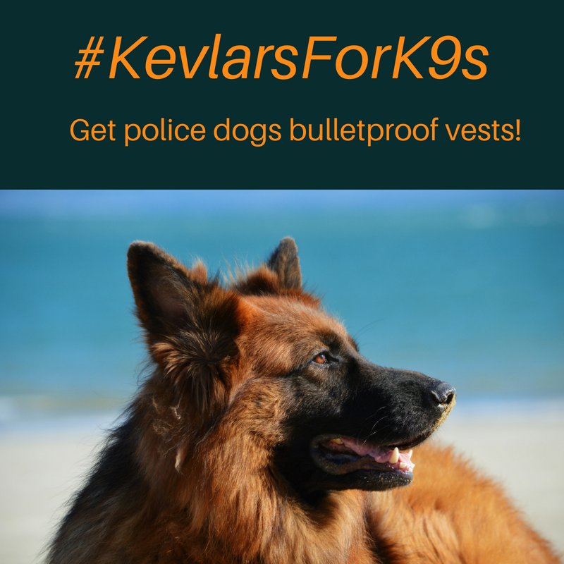 Every year 2 dozen #police #dogs die while serving their Communities. Join our campaign to protect their lives! #K9 #dogs  #kevlarsforK9s #LivePD #LivePDNation #K9s <a href="/LivePDK9Nation/">LivePDK9Nation</a>  <a href="/LivePDK9/">Barclay & Gus’s K9 Fanpage</a> <a href="/ErikEstrada/">ERIK ESTRADA</a> <a href="/SHAQ/">SHAQ</a> <a href="/solissaysthanks/">Savannah Solis</a> <a href="/FLTDF/">FLTDF</a>  tinyurl.com/kevlarsfork9s
