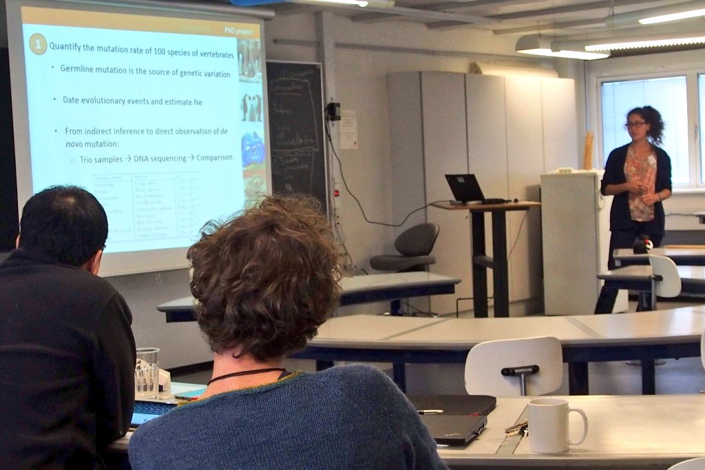 Noguesbravo's tweet image. is on!!!....X edition #phdcourse species distributions under #climatechange @Macroecology