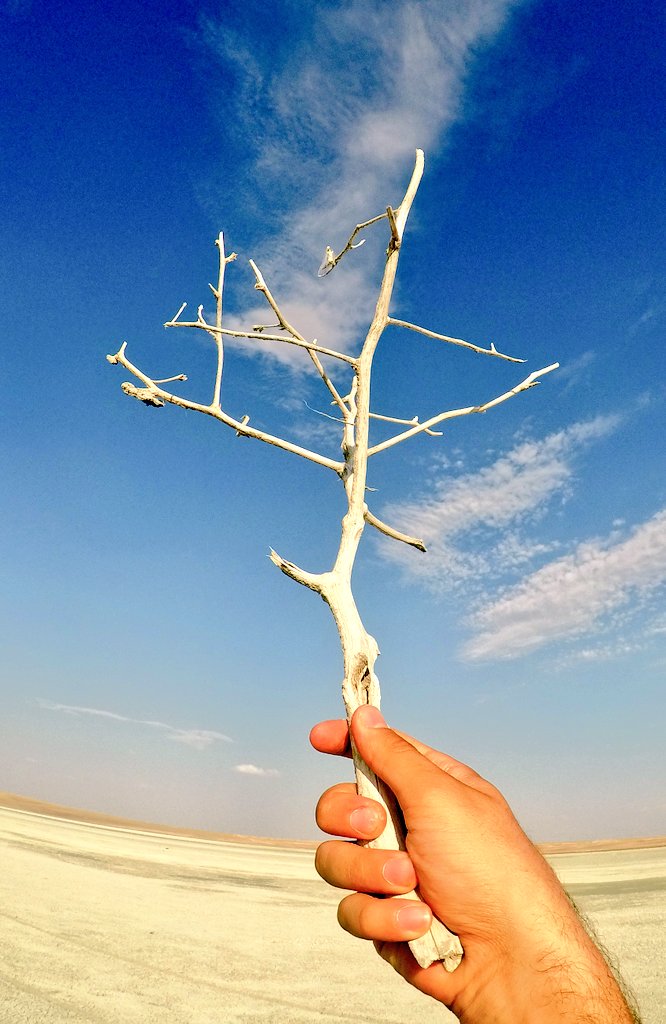 hamzamuttlu's tweet photo. Loading...%0.001
Türkiye / Namibia https://t.co/HmHkxxlHwx