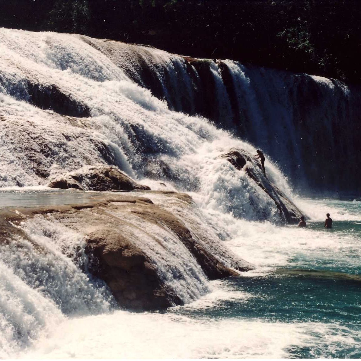 JorgeClemente5's tweet photo. Hoy!! Chiapas! En https://t.co/bjn3bnicTf
#chiapas #naturaleza #arqueologia #mundomaya #mayan #mayas #jungle #selva #mexico #viajemospormexico #viajemostodospormexico #nature #90s #viajesretro #retrotravel https://t.co/4o4zAs20bG