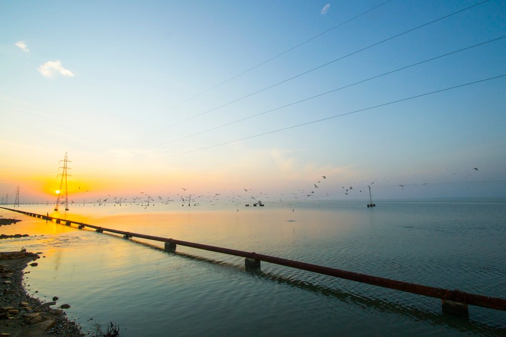 Shell takes full control of India’s Hazira LNG terminal and 0.5 mtpa from Total

FULL STORY: bit.ly/2oi8B3L

#India #LNG @Shell_NatGas @Total #naturalgas #energynews