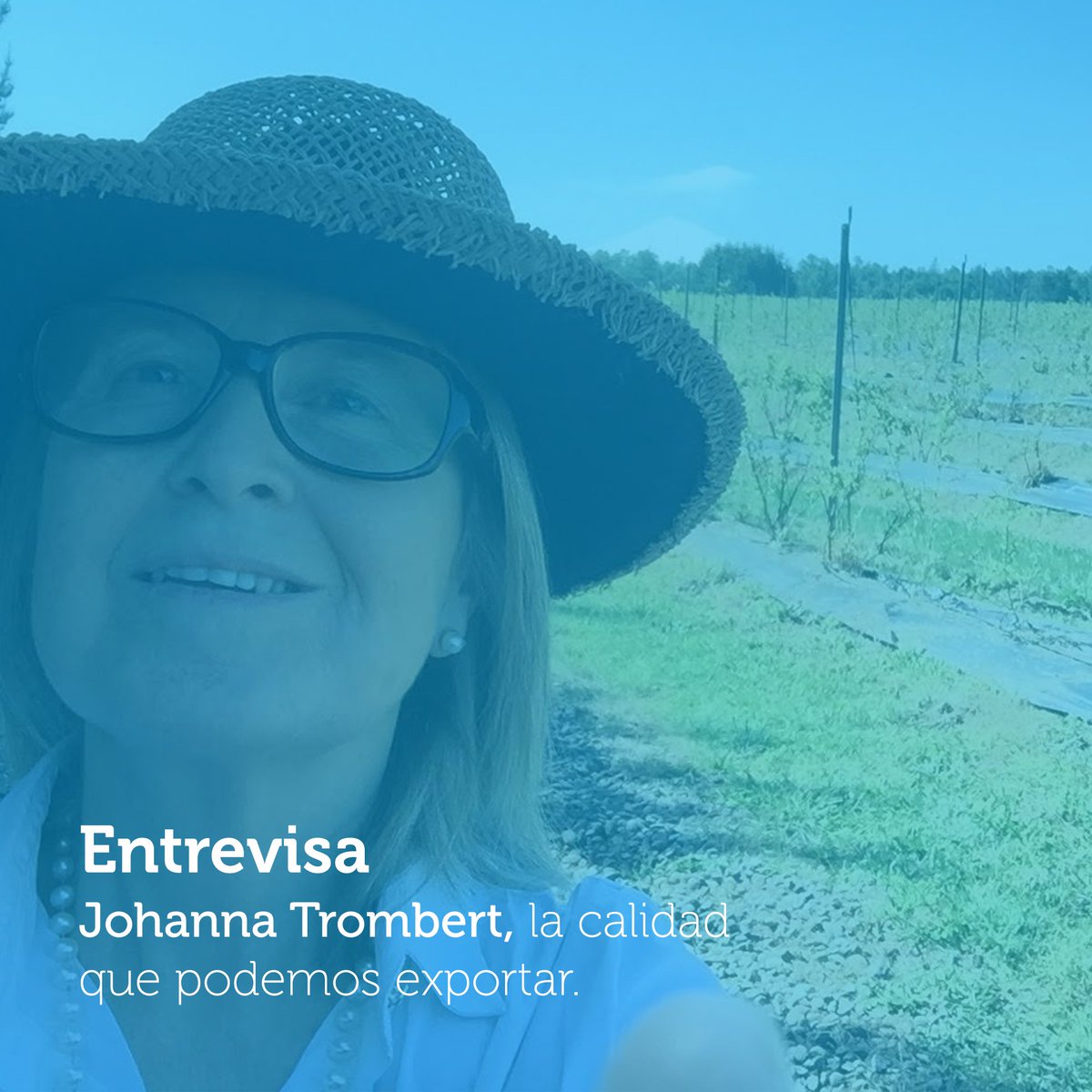 codigoc1's tweet image. JOHANNA TROMBERT: ASESORA DE FOOD SAFETY, ÉTICA &amp;amp; CALIDAD

Revisa el reportaje completo aquí:
revistagrupoagro.cl/food-safety/

#RevistaGrupoAgro #JohannaTrombert #FoodSafety