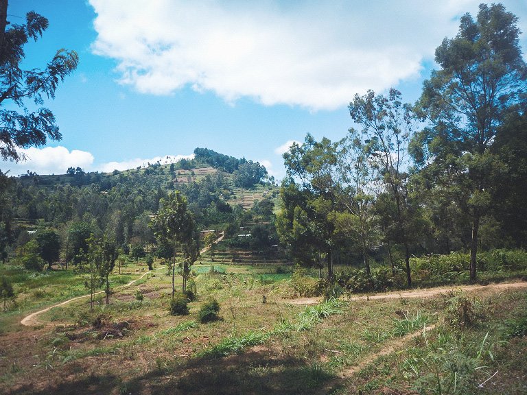ZEFbonn's tweet photo. #Taita #forests #Kenya - Photo by ZEF Senior Researcher Christine B. Schmitt. 
Read her field notes in the latest ZEF Blog Post: https://t.co/uwzmBng7pH
#livelihood #biodiversity @BiomassWeb https://t.co/LJAzU0ysnm
