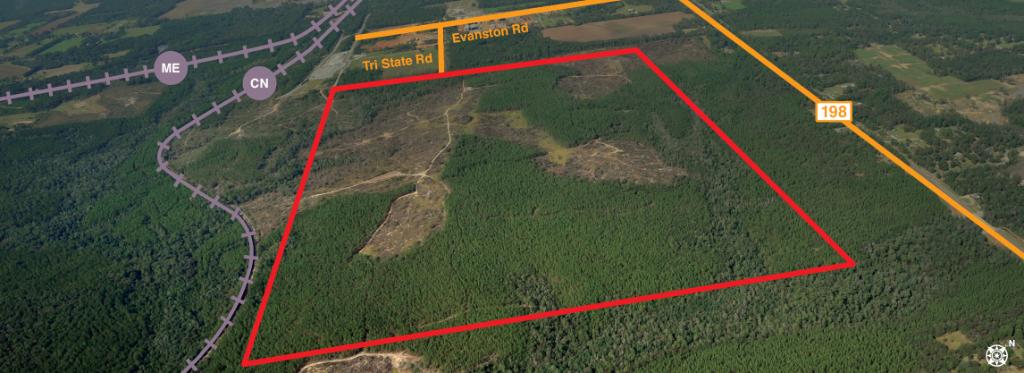 MS Power Econ Dev tweet media