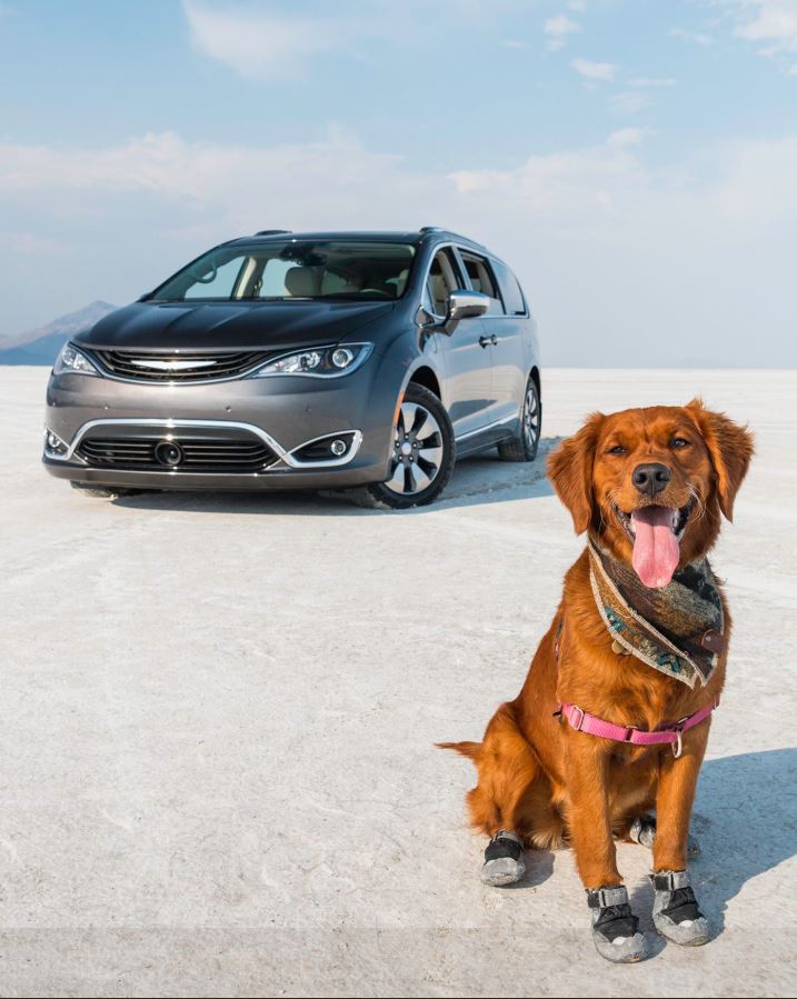 Fit for all members of the Family. #Chrysler #Pacifica