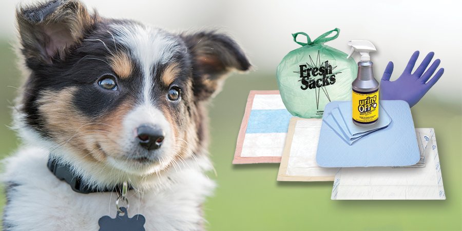 NorthShoreCare's tweet image. Pet owners have you experienced a wet floor before? Puppy pads let you down? #doggypads #petpads #puppypads bit.ly/2PIG7wy