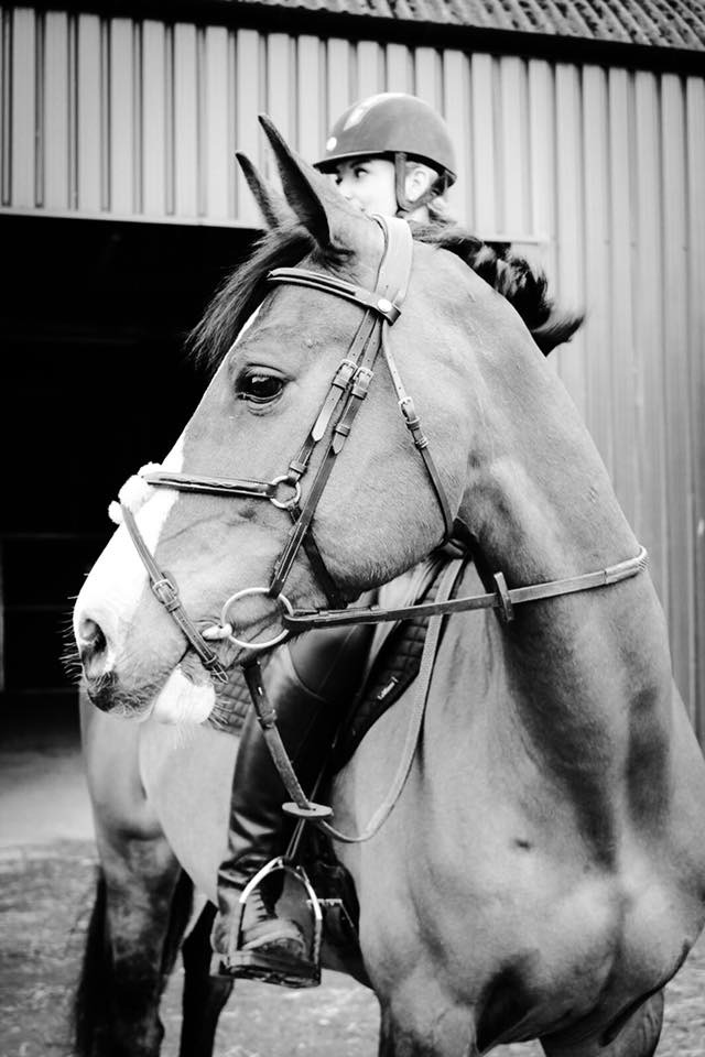 Pennymessenger's tweet photo. Doubt kills more dreams than failure ever will - 2 year milestone with this awesome little mare <3 https://t.co/LTKWn6vHNf