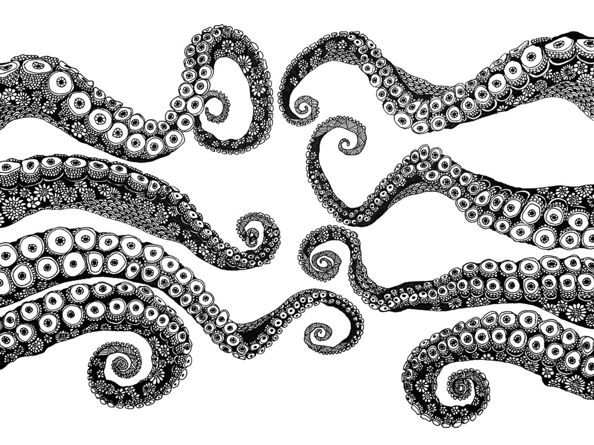 豪華で新しい タコ ボールペン画 アート 写真 Crazyshark Com Co 豪華で新しい タコ ボールペン画 アート 写真 Crazyshark Com Co