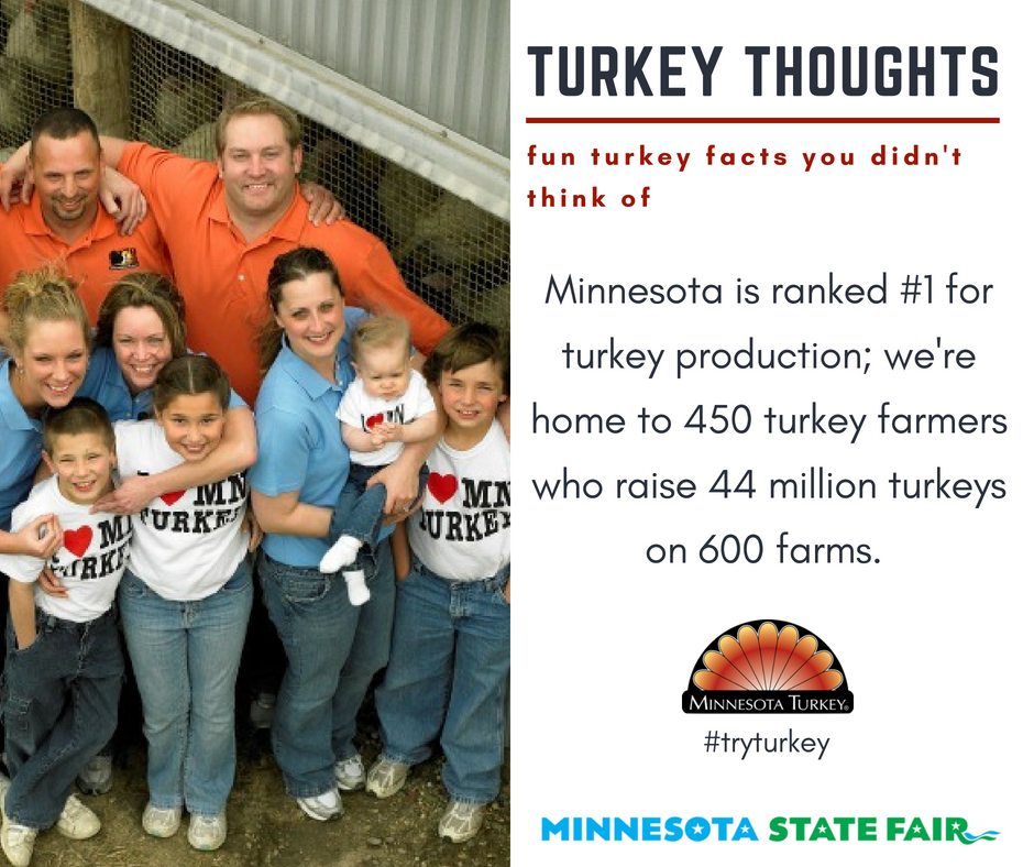MinnesotaTurkey's tweet photo. #TurkeyThoughts Day 6:
Minnesota is ranked #1 for turkey production, processing, and hatching in the U.S. and is home to 450 (4th, 5th and 6th generation) turkey farmers who raise approximately 44 million turkeys annually on 600 farms. 
#tryturkey #exploremn https://t.co/7dRGtXf2El