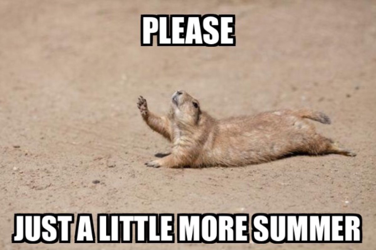 ManhattanPL's tweet photo. I hope everyone enjoyed the last "weekend" of summer. Even though the start of fall is on September 22nd, Labor Day is when all the pools close for good so that means summer is over. #imisssummer #fallisok https://t.co/uOf7pbjfkq