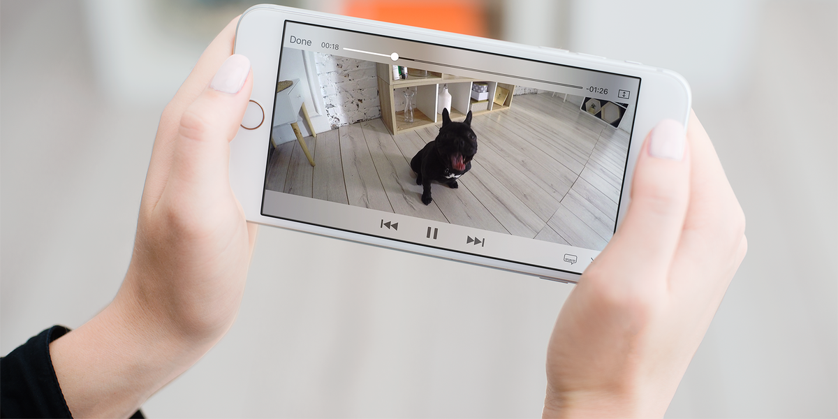 PPNIntl's tweet photo. Pet tech is a smart play for proactive pet marketers and service providers, according to @packaged_facts. https://t.co/8FMC4OBWel https://t.co/x07faMwzG2
