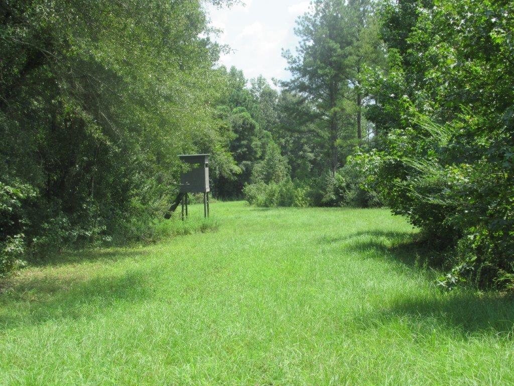 TrueSouthProp's tweet image. Beautiful 275 acre tract of land very convenient to Auburn or Montgomery. Great hunting tract for any native game such as deer, turkey, and quail. Hard to find a property of this caliber as close to the Auburn area.  Call Scott Sullivan at (334)-707-8847.