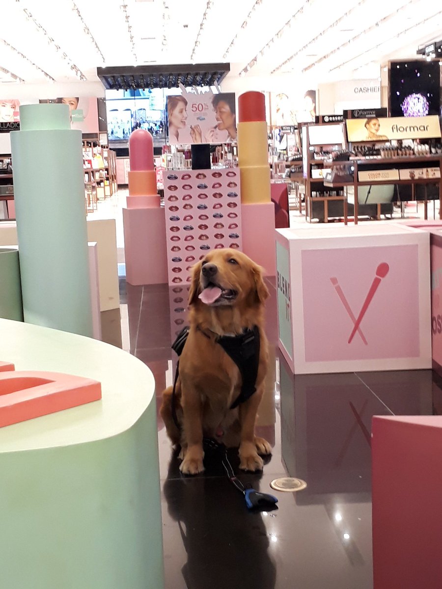 animalsceneMB's tweet photo. Here's a few BTS photos from our earlier shoot with Pet Express!m as SM Makati goes pet-friendly ❤ #AnimalSceneMB #AnimalScene #PetExpress #SM #SMMakati #Makati #animals #dogs #cats #malls https://t.co/XVgDIZPmdX