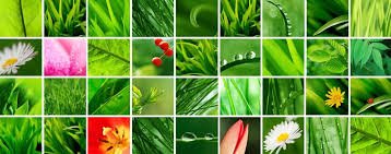 GraceMugabe65's tweet photo. Recently i will launch a new botanic projects with interested women. Everyone is invited , no politics, its mothers' honour @HeraldZimbabwe @WCOZIMBABWE @womenforchamisa @ZimwomenAssoc @ZimWomenInPolit @ZimRoar @Zimwomenspeak @Zimwomen https://t.co/8XzRD9Tokv