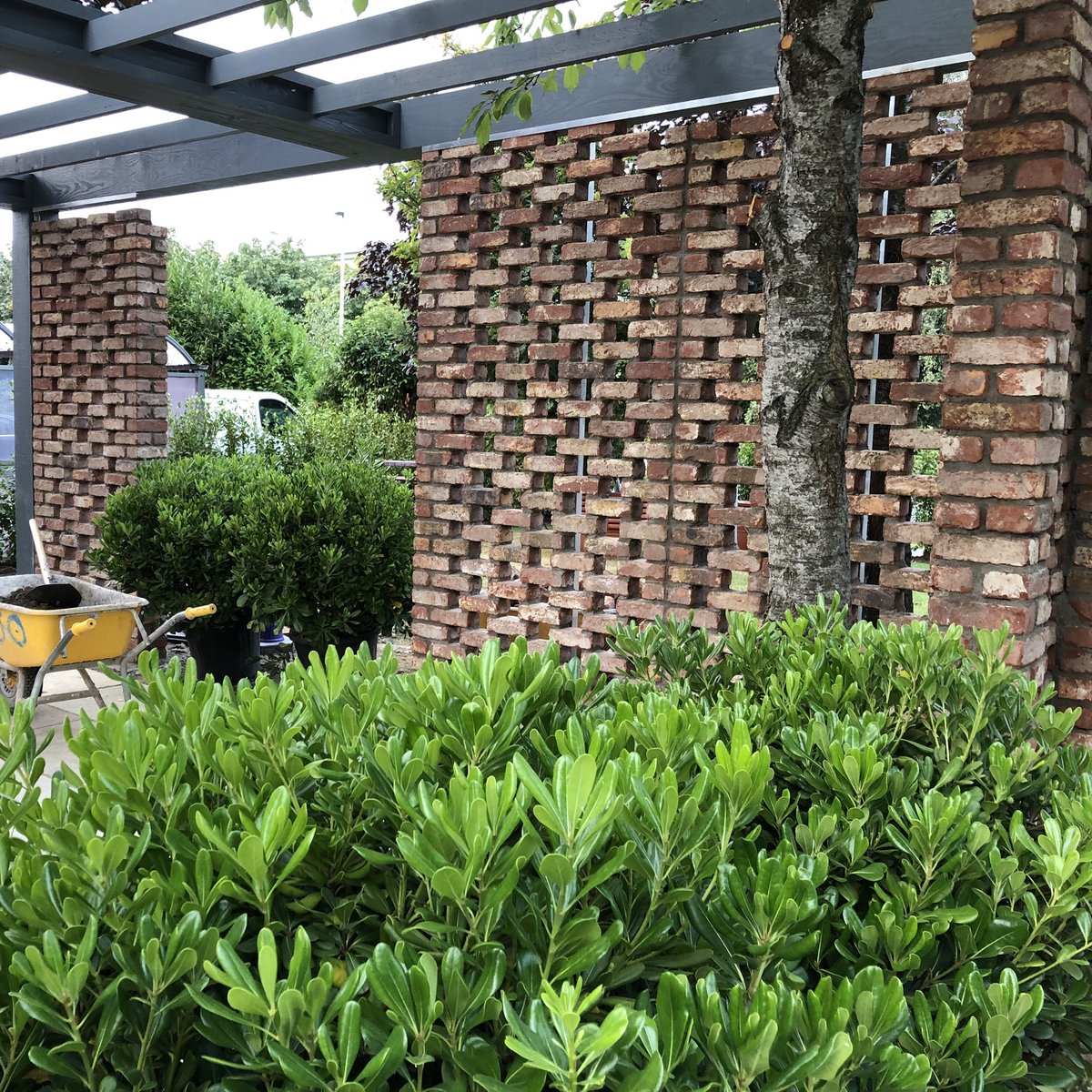 AlanRudden's tweet photo. Super progress being made on the new #IrelandAM  #VirginMedia garden. https://t.co/5yOWrxZhaT