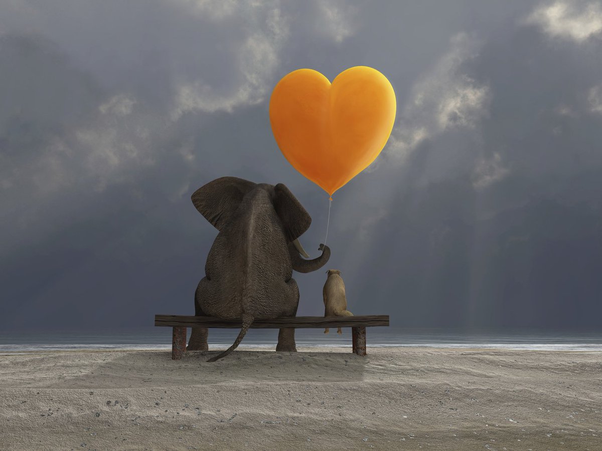 BGraceBullock's tweet image. Practice loving kindness every day. 
 #HowYouCouldHelpIn5Words