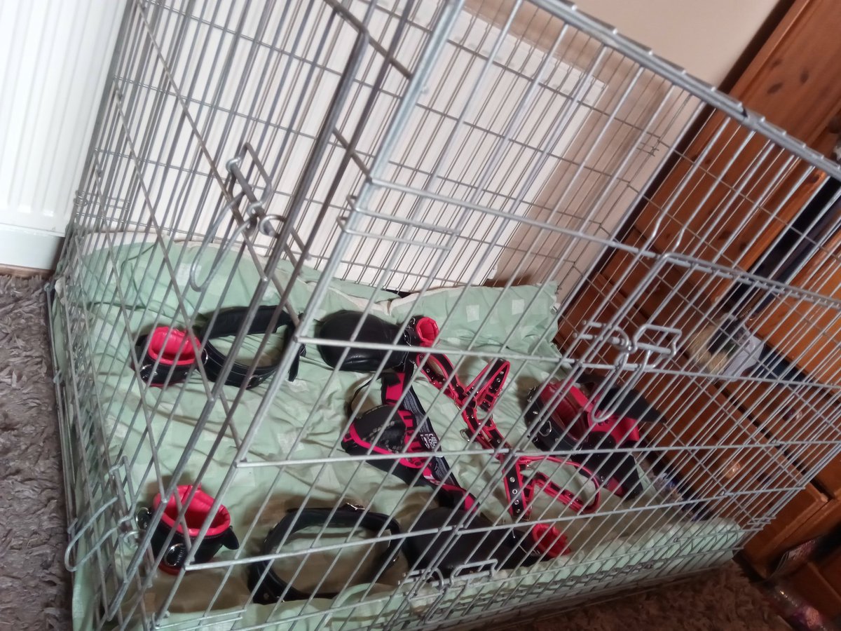 puppy play cage