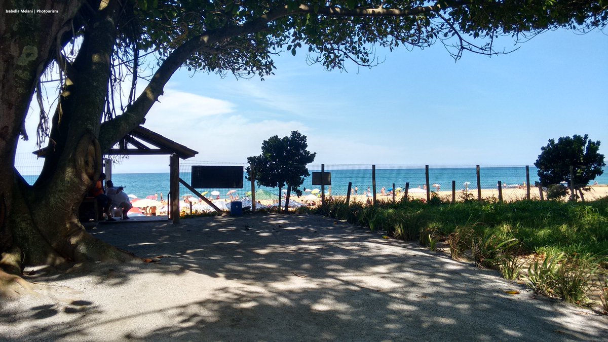 Nada de útil pra twittar... 
Então vou começar a contagem regressiva! 😂
#51dias #Praia #Aniver #AniverNApraia