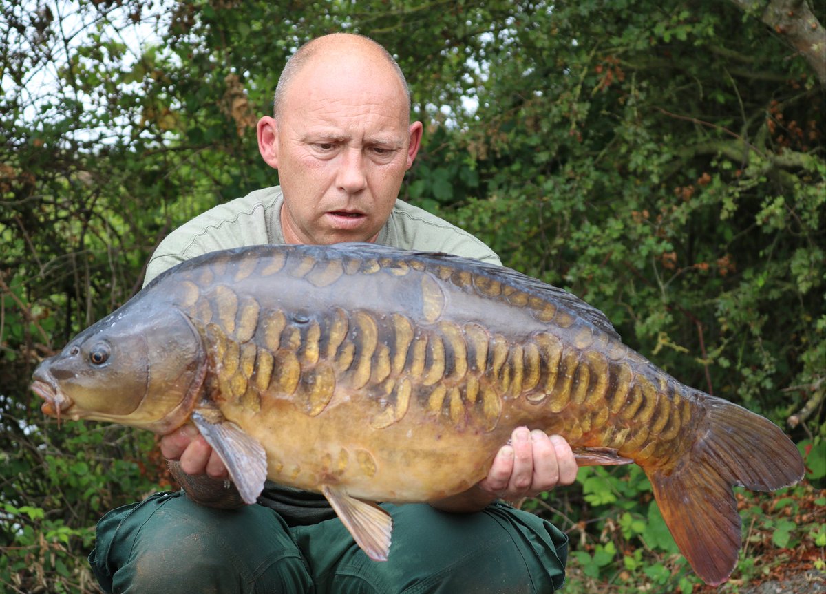 ross_seamark's tweet photo. 2nd of three from last week caught on pacific tuna https://t.co/mc6uG0TQXo