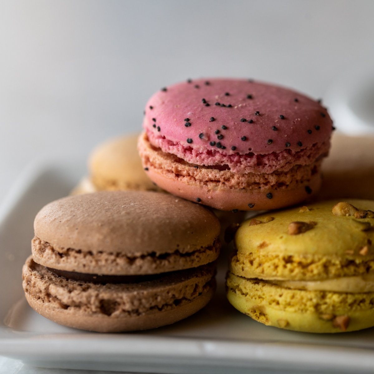 Fleurdecocoa's tweet photo. Sweet doesn’t even begin to cover it. https://t.co/A8wrBLxNey