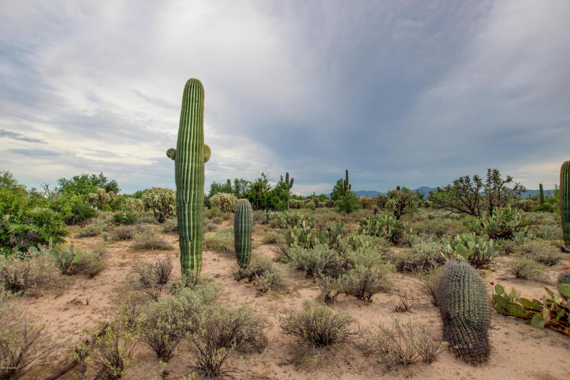 StinsonCurt's tweet photo. JUST LISTED!
NW Tucson, AZ 85742
2.01 Acres
GREAT LOCATION in NW Tucson, this land is the perfect spot to build your dream home! Horses allowed & no HOA! Fantastic views! π΅
https://t.co/gqucfHr1Xq
https://t.co/0KO9RaUscf
#LandLot #NWTucson #MountainViews #RealtyExecs #Stinson https://t.co/cRnj7TRyzk