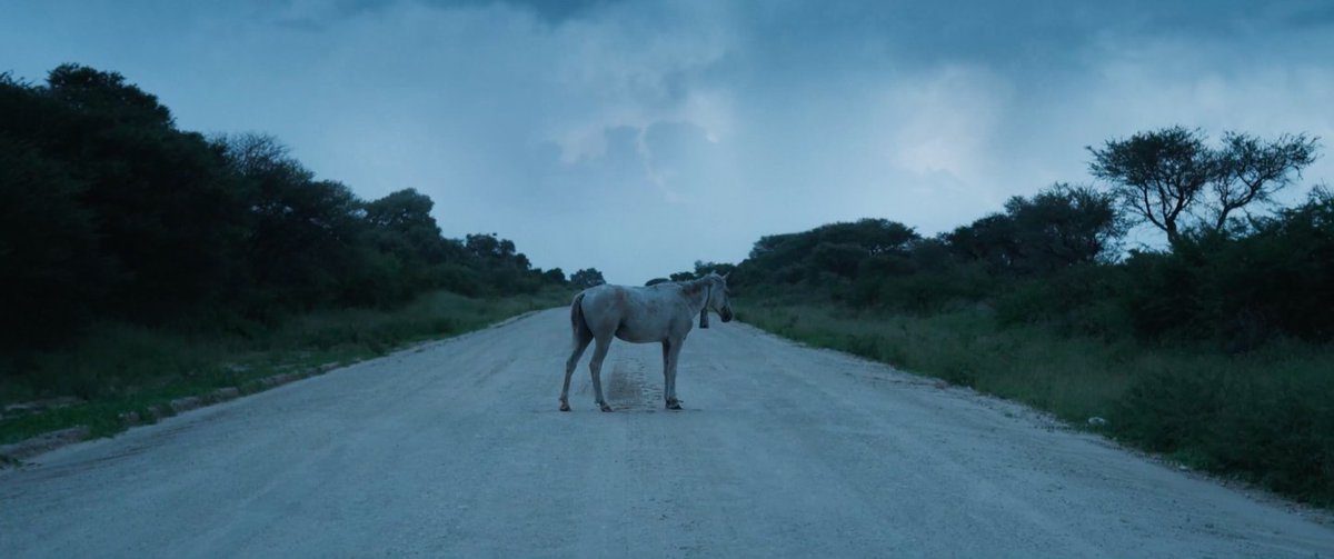 indyeight's tweet photo. JACOB JOHN HARMER's gorgeous and mesmerising film JUL'HOANSI premieres today on @NOWNESS, click here and let yourself be transported to the spiritual realm of The San Tribe the oldest population on earth: https://t.co/SrztFm3vWs #jacobjohnharmer #nowness #santribe https://t.co/THJS7YleJl