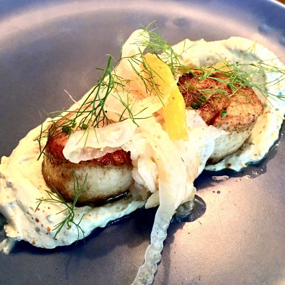 ChefsofCarolina's tweet photo. Chef Tres Jackson's beautiful Sea Scallops with Tarragon Yogurt, Fennel, Tangerine and Cayenne. 
At @SorghumSalt 
#carolinacuisine #chseats #lowcountryliving #scallops #charleston #yummy #carolinachefs https://t.co/jdGGSdIm3H