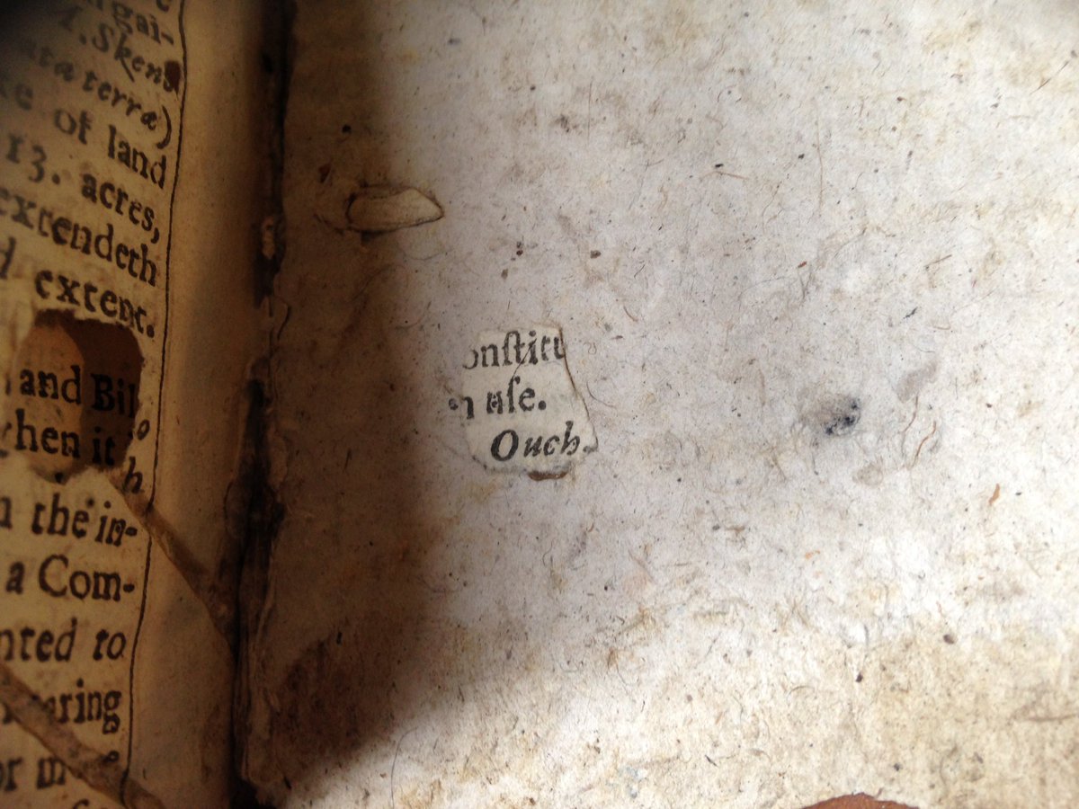 Anna Reynolds tweet media