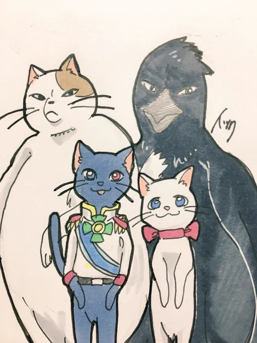Tik Tokまとめ 「猫の恩返し編②」
あ、イツク書き忘れた 