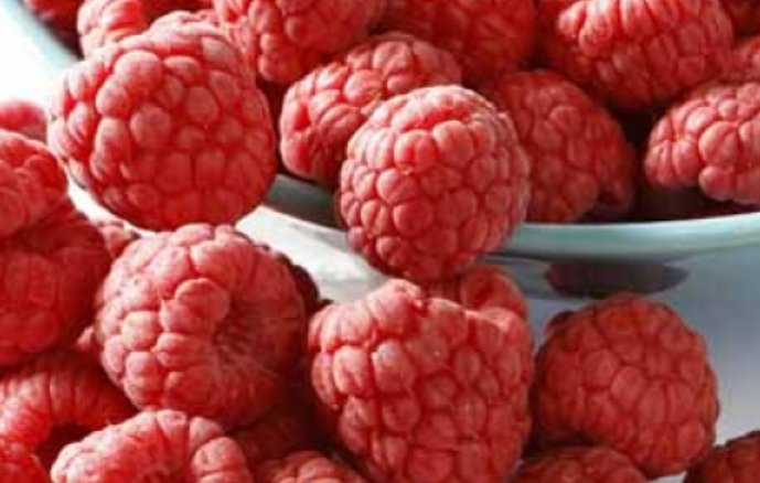 OctoFrostGroup's tweet image. #OctoFrost food processing equipment creates a natural looking #IQF product. Vibrant color, good bite, and appetizing flavor – all these product characteristics are preserved when using the OctoFrost IQF #ProcessingTechnology. Read more here: bit.ly/OctoFrostNatur…