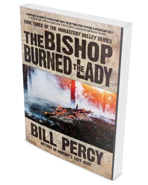 brwpublisher's tweet photo. Free eBook Promo going on now for "The Bishop Burned the Lady" (https://t.co/ml2mcRukBs) by @BillPercyAuthor @ereadernewstoda #blackrosewriting #police #investigation #fiction #smalltown #mystery #crime #western #booknews #bookpromo #freeeBooks #eBooks #ereadernews https://t.co/maUpkCYPXH