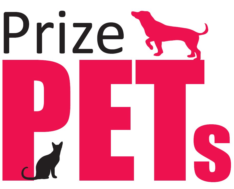 DerbyTelOffers's tweet image. Enter your pet into the #DerbyTelegraph's Prize Pets competition and be in with the chance of winning a cash prize!  Online entry, Ts&amp;amp;Cs apply derbytelegraph.co.uk/news/derby-new…  #Pets #Prize #Competition