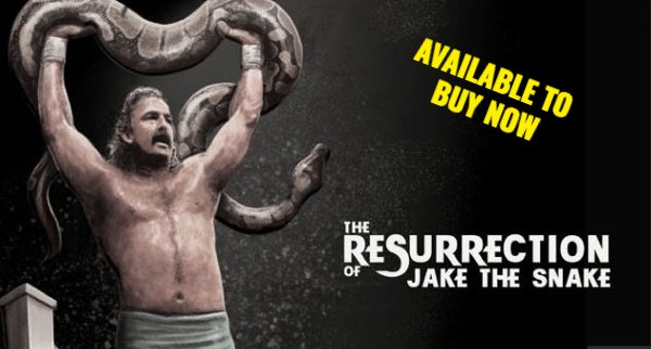 Looking for where to watch The Resurrection of Jake the Snake now that it's not on Netflix? Buy it on DVD or stream it on Google Play, iTunes, Amazon, and more! jakethesnakemovie.com