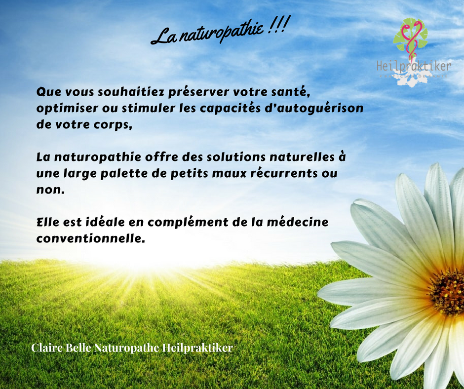 Naturopathe La Teste De Buch (@naturolateste) on Twitter photo 
