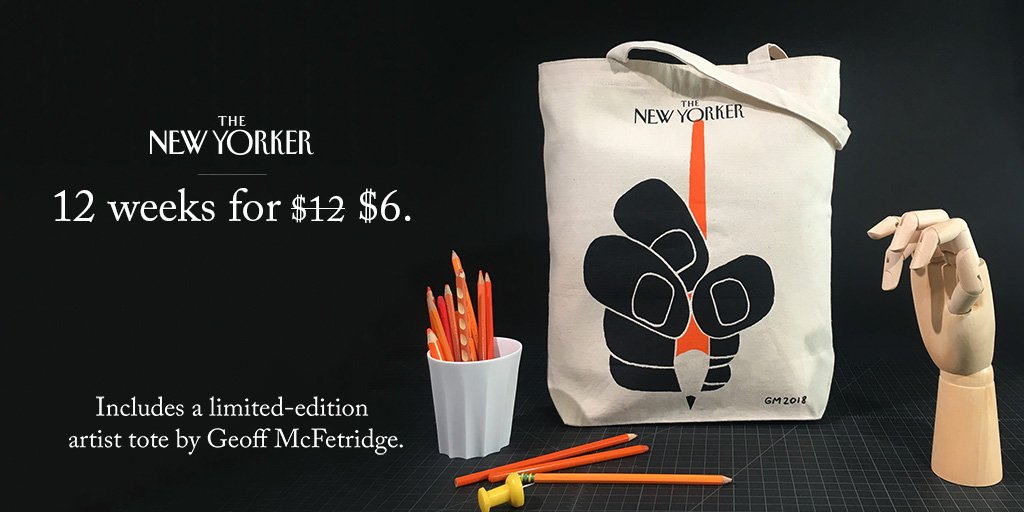 new yorker luggage 28