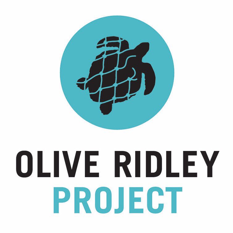 As well as our company membership with <a href="/1percentftp/">1% for the Planet</a>, some our staff are also individual members too.  They choose to support <a href="/ORP_INDIANOCEAN/">Olive Ridley Project</a> so they can continue with their good work. Check them out! #conservation #seaturtles #zerowaste