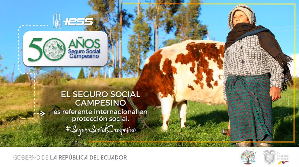 Hospital IESS Santo Domingo tweet media