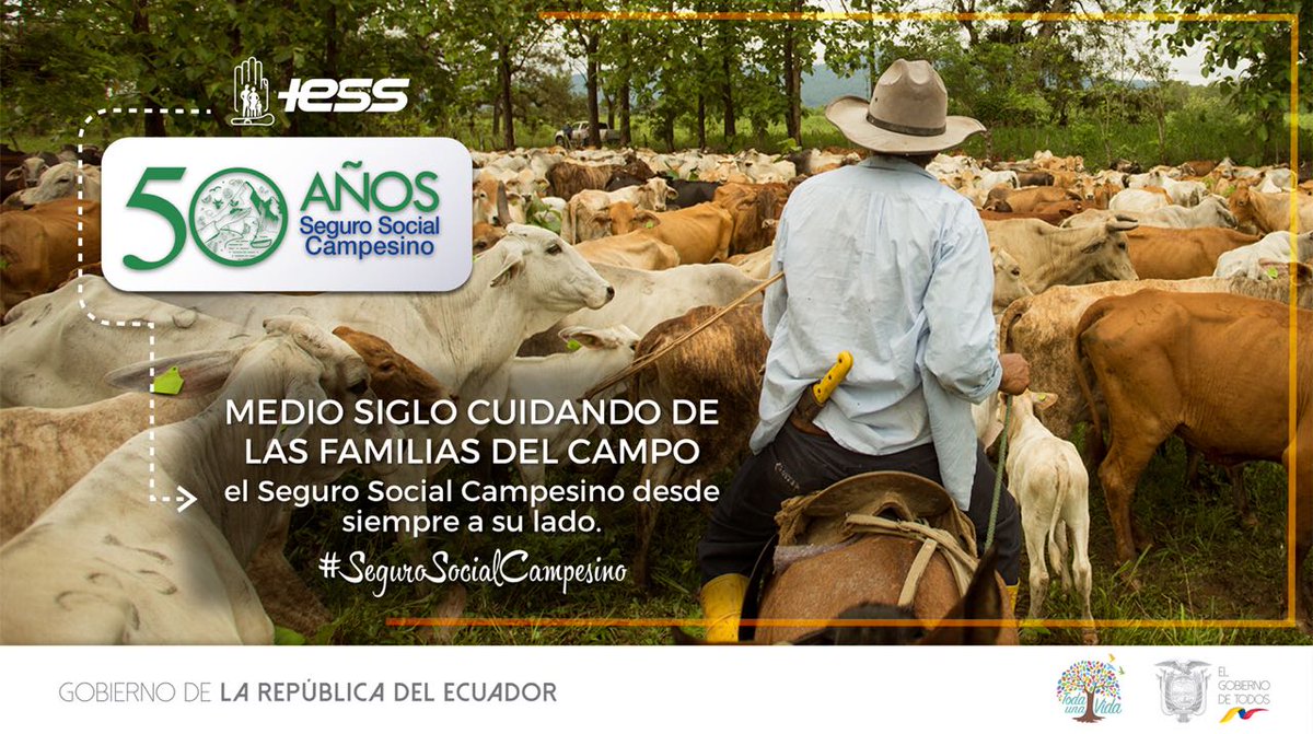 Hospital IESS Santo Domingo tweet media