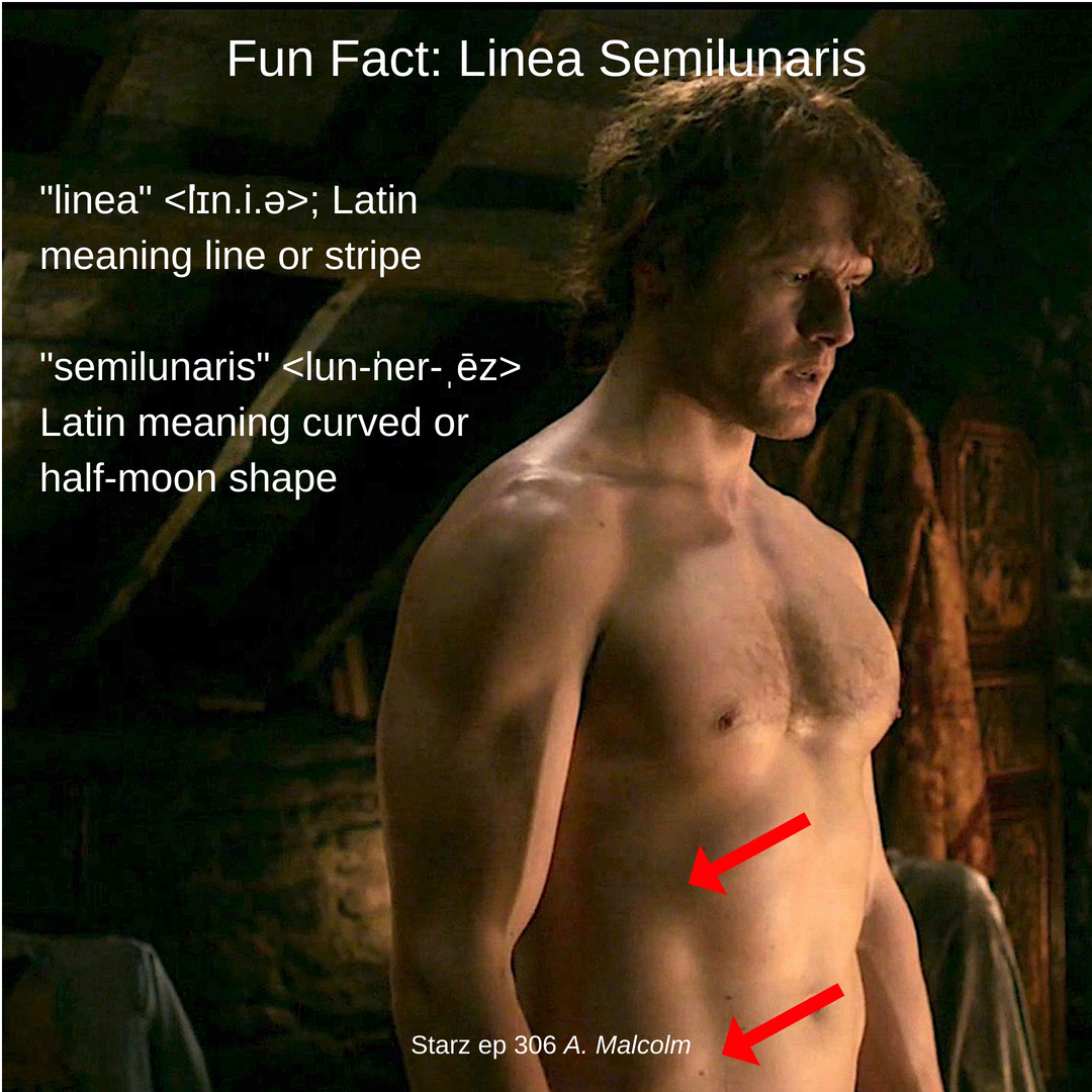 Today's Fun Fact: Linea Semilunaris...hook, line and sinker! 